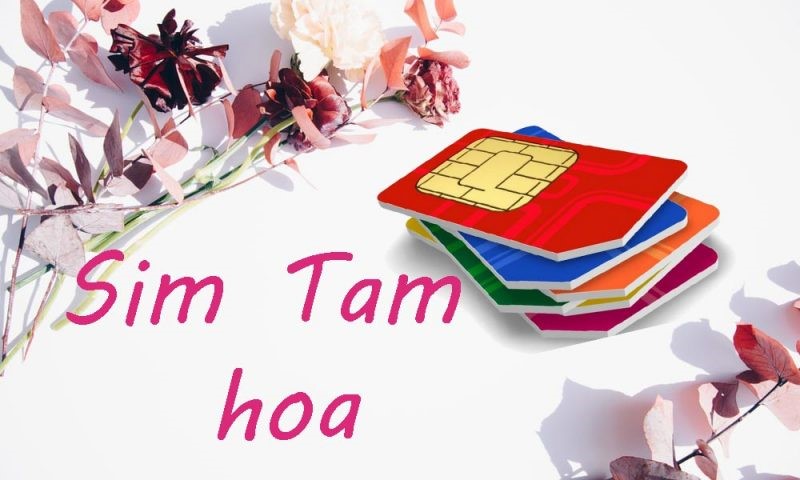 Sim Tam Hoa có ý nghĩa gì?