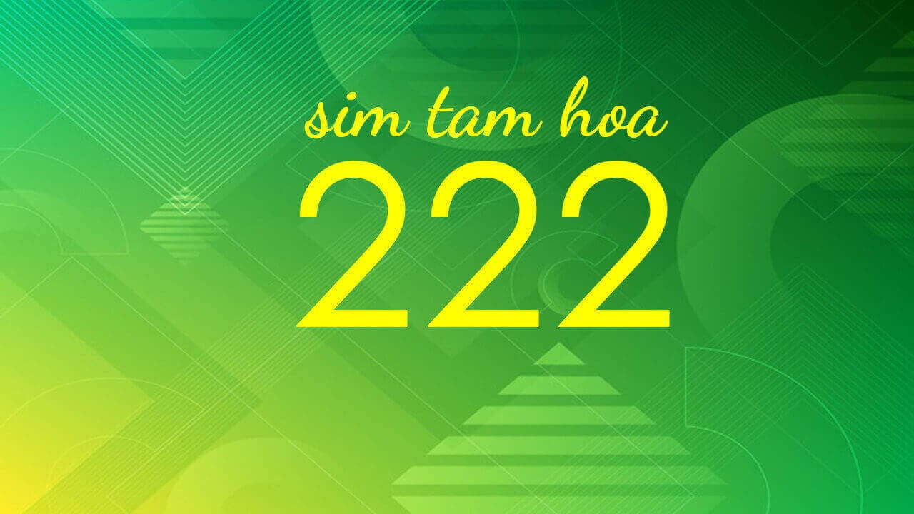 Sim tam hoa 222 có ý nghĩa gì?