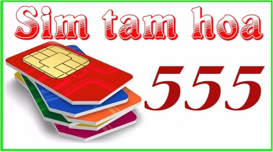 Ý nghĩa của sim tam hoa 555