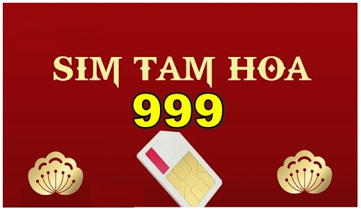 Sim tam hoa 999 có ý nghĩa gì?