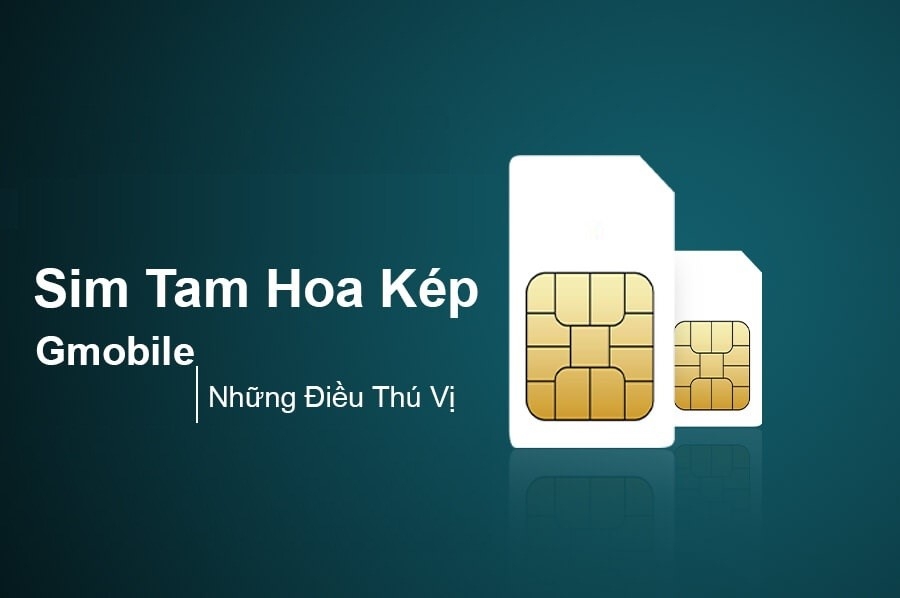 Ý nghĩa của sim tam hoa kép.