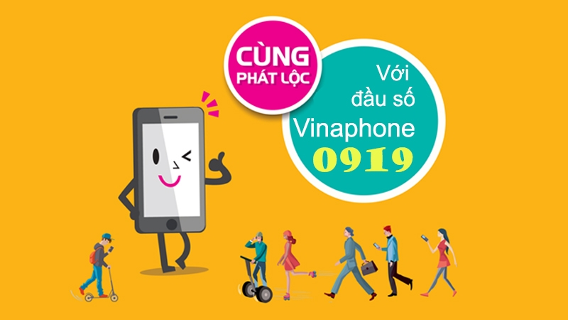 Đầu sim số 0919 thuộc mạng gì?