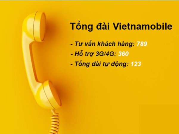 Số tổng đài Vietnamobile cho thuê ba Vietnamobile