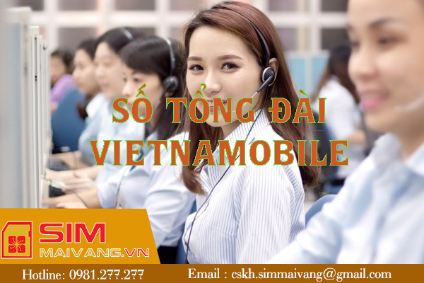 Bật mí số tổng đài Vietnamobile hỗ trợ khách hàng 24/24