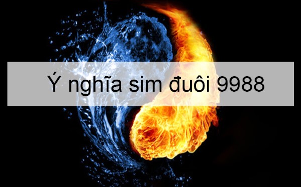 Ý nghĩa đuôi sim 9988