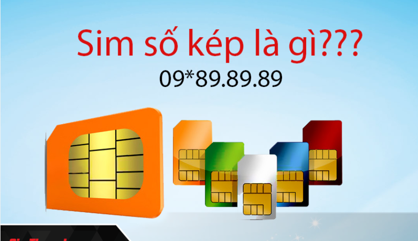 Sim số kép là gì?